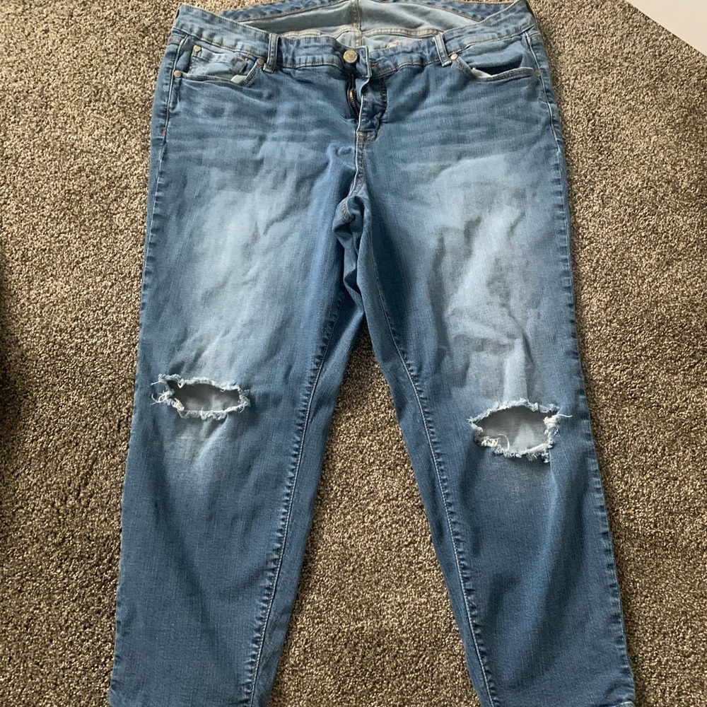 Torrid Jeans